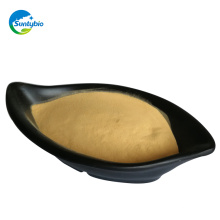 animal feed yeast yeast extract fermentation by Chinese manufacturer